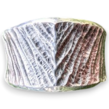 Wide Chevron Band